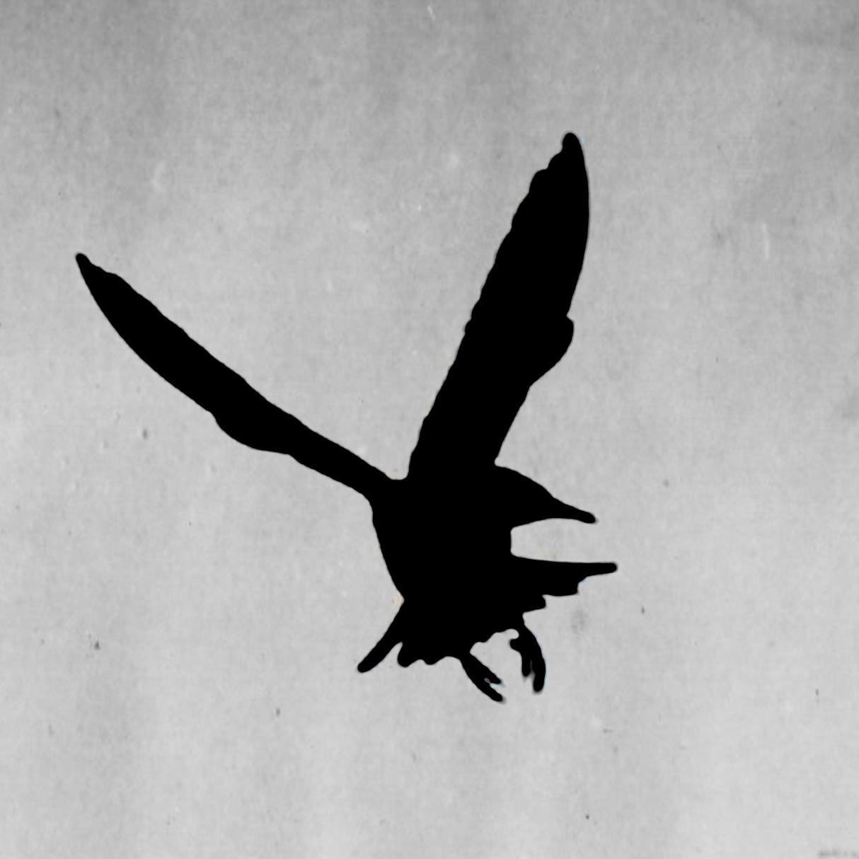 Blog de análisis geopolítico y conflicto bélico. La guerra desde todas sus vertientes.