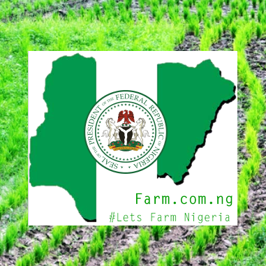 The Nigerian Digital Farming platform Educating, Encouraging and Informing
the Nigerian Youth to harness Farming as the new black gold of Nigeria.