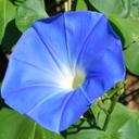 Beth mickolas - @bjudkinsmickola - Twitter