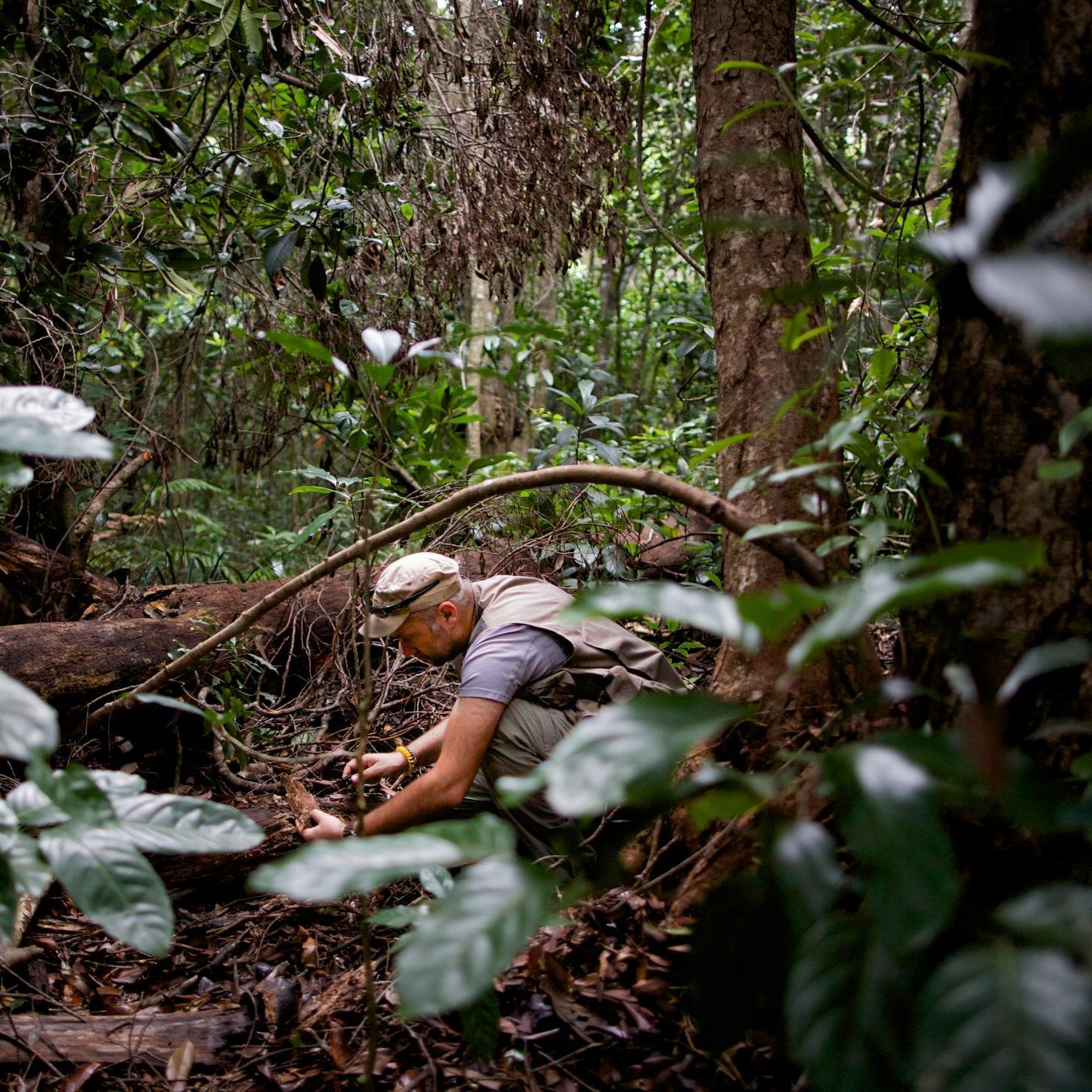 Researcher in SW pacific @Ird_fr,@IMBE_Marseille, @IMBE_Noumea, invasive species, islands, conservation, ants, bees, lizards & bioacoustics in a changing world