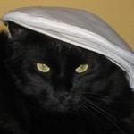 Balu4011's profile picture. 