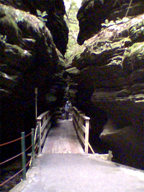 dogdog44's profile picture. love basketball  football