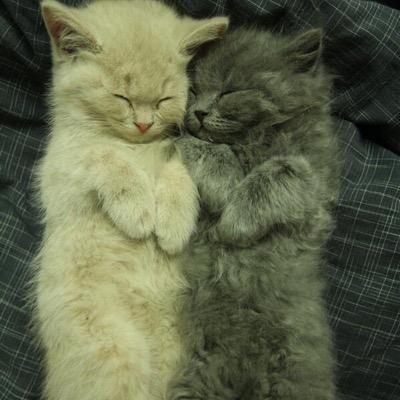 heming_leonie's profile picture. ich habe jetzt auch insta  LeoMalu