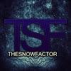 TheSnowFactor's profile picture. 