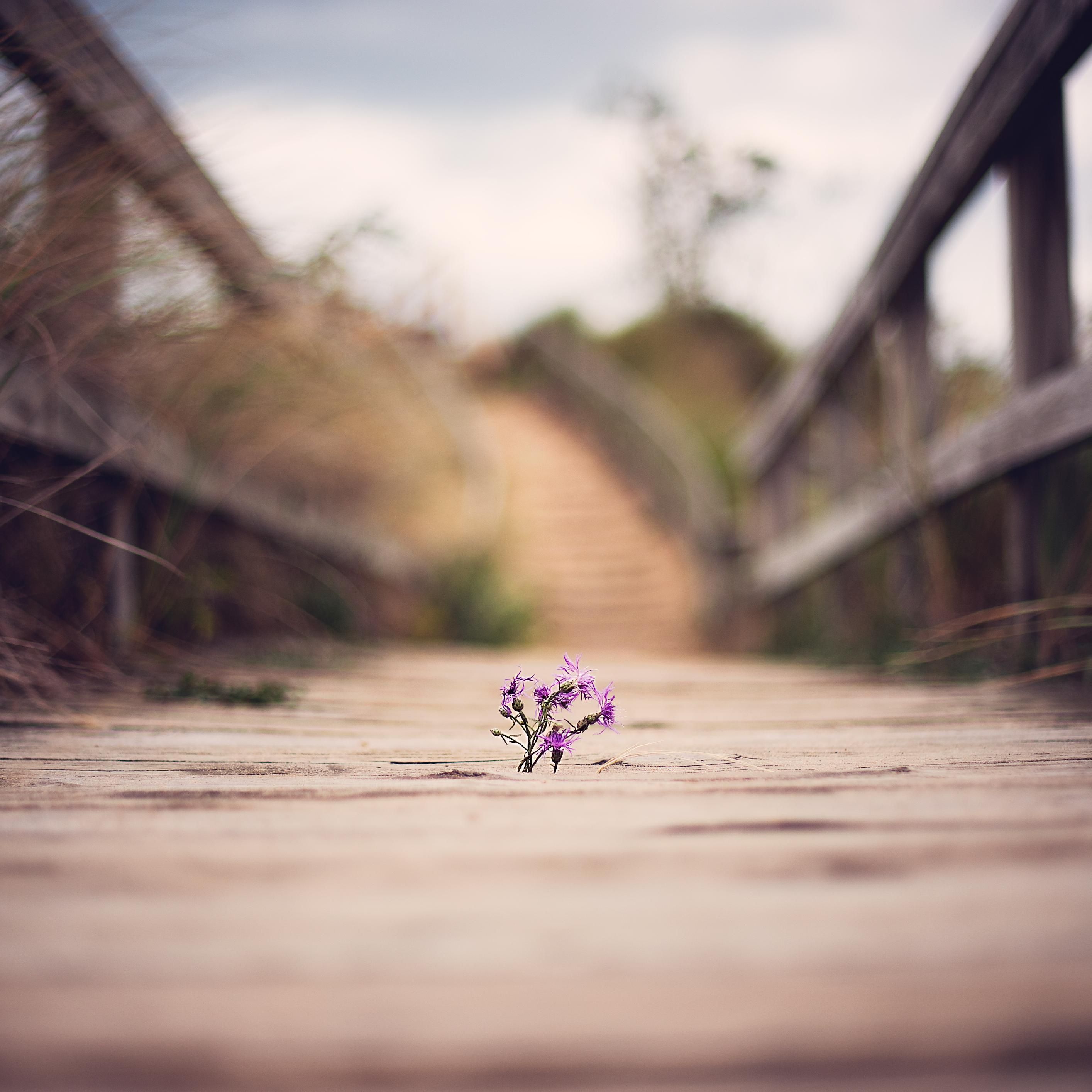 DunesHospice's profile picture. Serving Northwest Indiana! Call us at (888) 602-9004