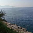 Angela Maresca - @amaresca343 - Twitter