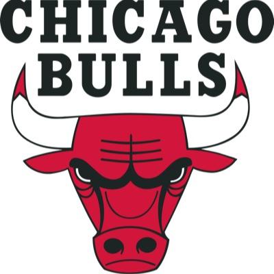 team jordan team bulls.