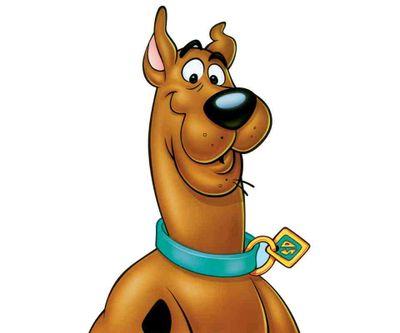 archigil13's profile picture. 