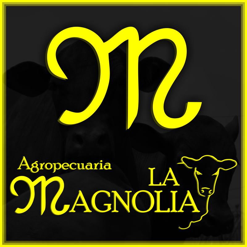 Criadores de ganado Senepol y sus cruces