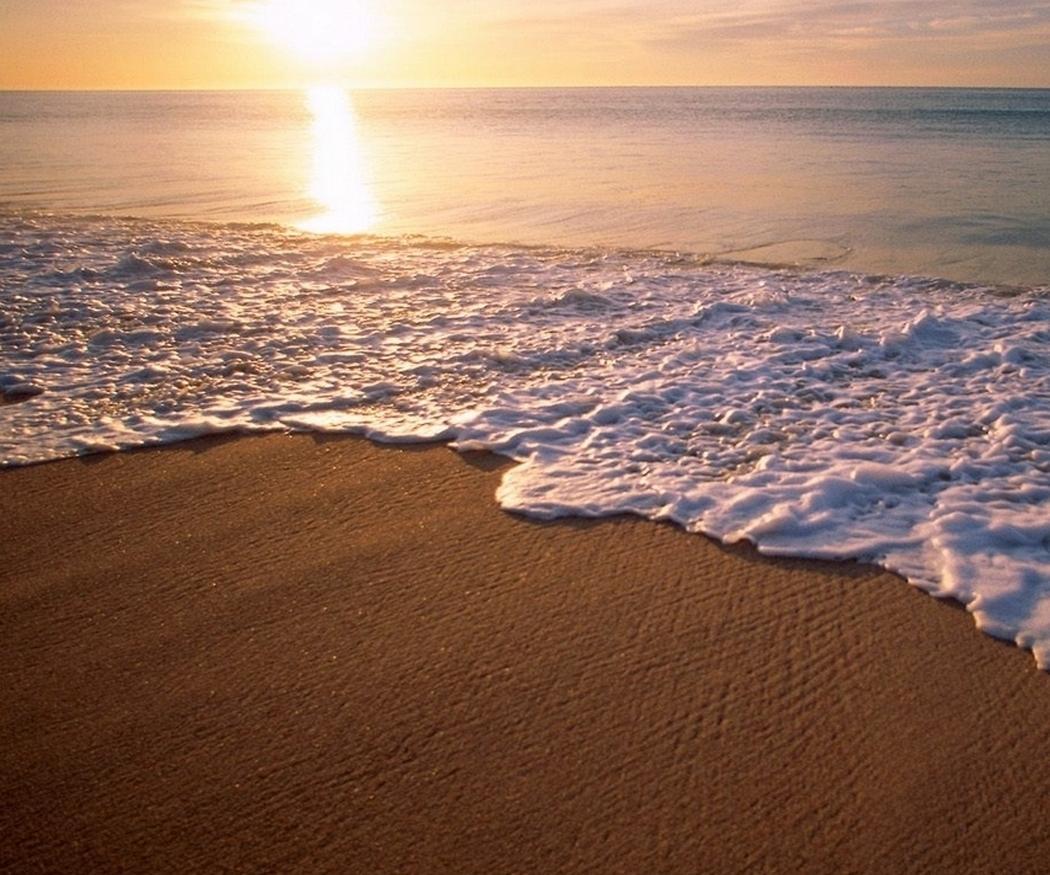 ata_excursiones's profile picture. 