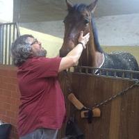 josé luis pedreira (@jolupedrema) 's Twitter Profile Photo