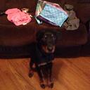 Ansley Wilson - @AnsleyWilson5 - Twitter