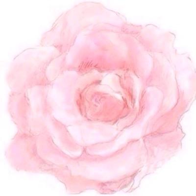 الحمدلله دائما وأبداً . . 💕