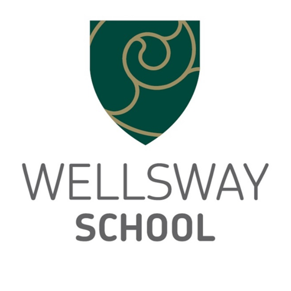 Wellsway is a high-performing school, developing confident, respectful and successful young people: https://t.co/XxX5ESCNCF