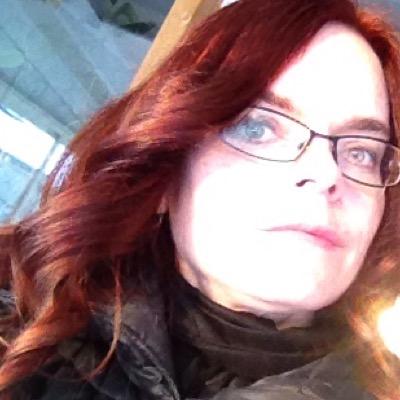 Kvinna, cynisk optimist, feminist, nörd, fyllde 20 för ett tag sedan. Lärare med skrivdrömmar som lever villaliv med man och två barn. Twittrar privat.