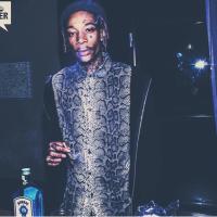 Wiz Khalifa TGOD (@wizmistercaptg) 's Twitter Profile