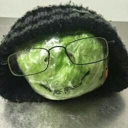 Dark_Rook74's profile picture. 