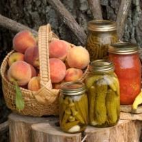 Advice and information on Homesteading and returning to self-sufficiency.
