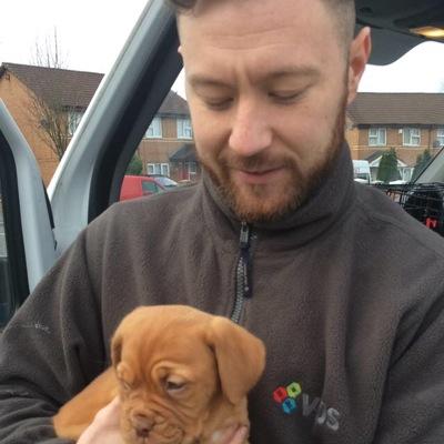 BegzyBaby's profile picture. 