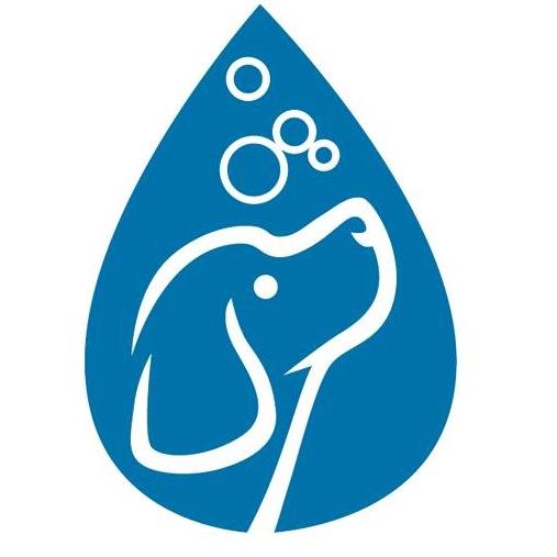 CanineSkin's profile picture. The Canine Skin Solutions products are medically effective, gentle & safe. The 2-step system revolutionizes skin care for dogs with all skin types.