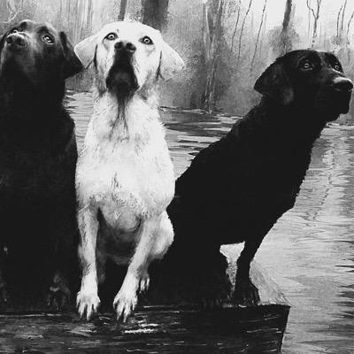 3labconsulting's profile picture. 