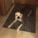 Erik Randall - @erikwr07 - Twitter