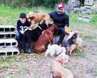 Dedicación y amor pleno a los perros, especializado en conductismo, psicología y trabajo en manada