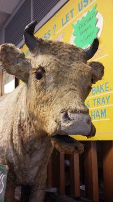 Your Hometown Meat Market since 1965