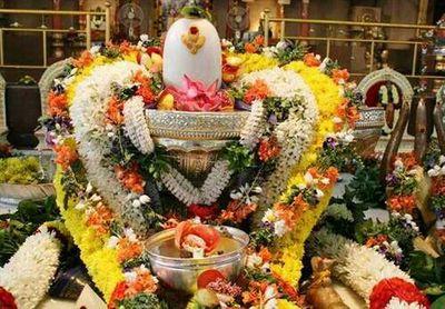 f1306d63cb9c47a's profile picture. 