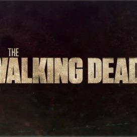 just love the walking dead