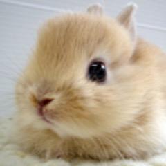 JK2です、ぺろぺろなめてほしいかまってちゃん、気分よかったらしゃしんあっぷするかも、コスプレとか痴漢とかぺろぺろとか好き❤️