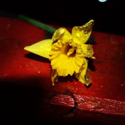 Hello I am a photographer just starting out be sure to follow my instagram for more https://t.co/mYMm7zusc8