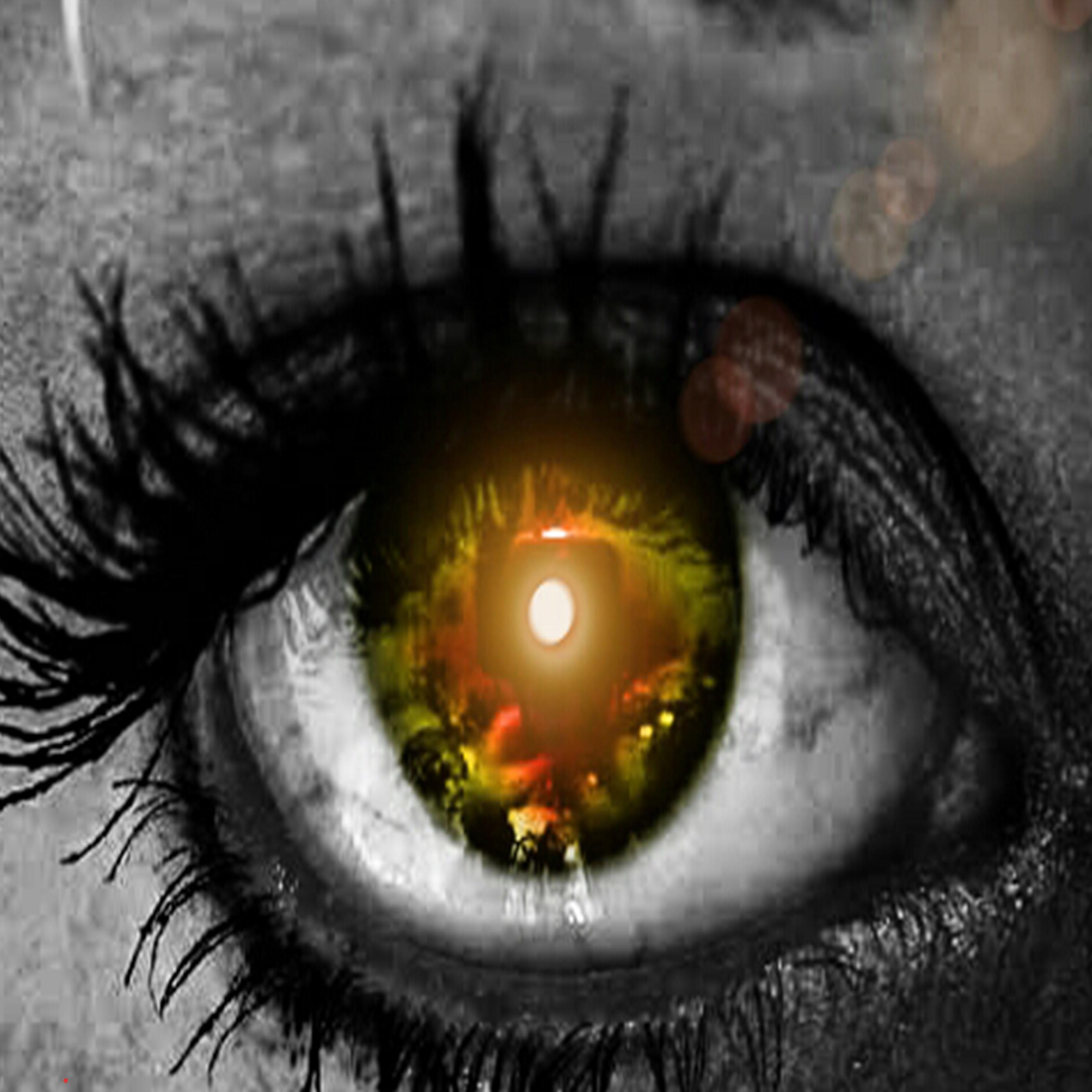 Junkie_book's profile picture. 