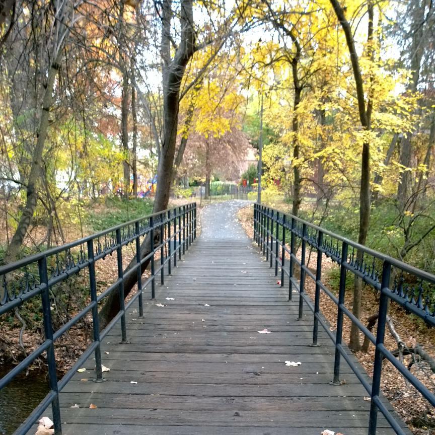 nessajean59's profile picture. 