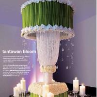 Tantawan Bloom (@tantawanbloom) 's Twitter Profile