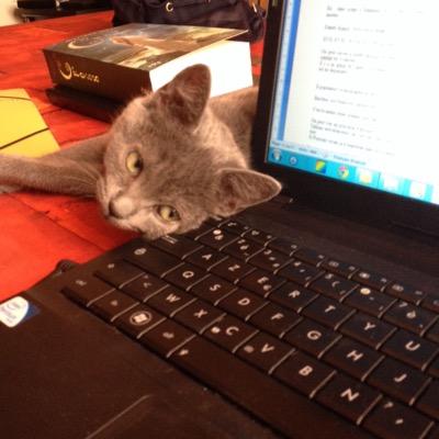 yhello_raven's profile picture. Lecteur compulsif...qui n'oublie pas de se nourrir pour autant.