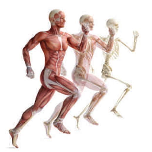 juanvib4's profile picture. I carry unknown futures like tiny fires 🔥