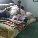 Rhonda Sutherland - @RhonrickoRhonda - Twitter