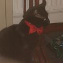 Jackie Boyce - @discodey - Twitter