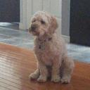 Brian Sadler - @Sadlerb - Twitter