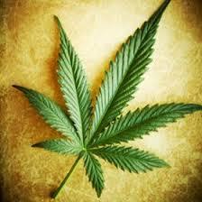 Si vous fumer et respect la sainte-weed, alors suivez moi.