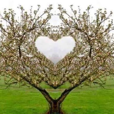 DoniaLeona's profile picture. 