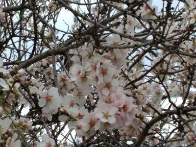 1Acev2the's profile picture. 