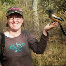 Bird watcher, Astronomer, Drummer and IT geek:-)