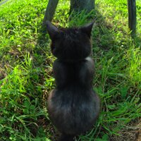 N. (@mamekoro51) 's Twitter Profile