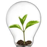 Selling Innovation (@sellinginno) 's Twitter Profile