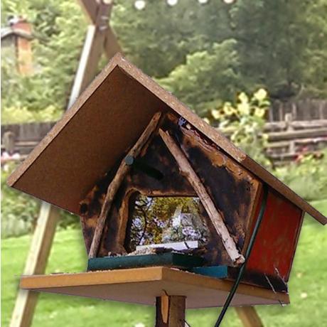 I am a robot bird feeder with a motion activated camera. I am programed to be your friend.