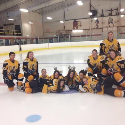 Official Twitter Page of the DHS Girls Hockey Team