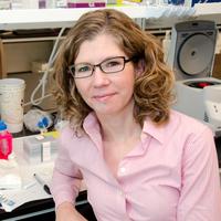 Julie Lefebvre (@jillumine) 's Twitter Profile Photo