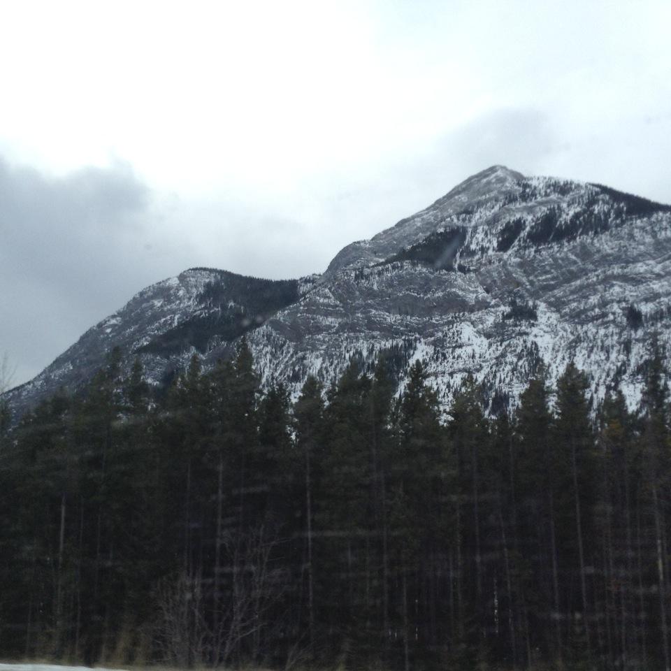 KevinDmytrow's profile picture. enjoying life